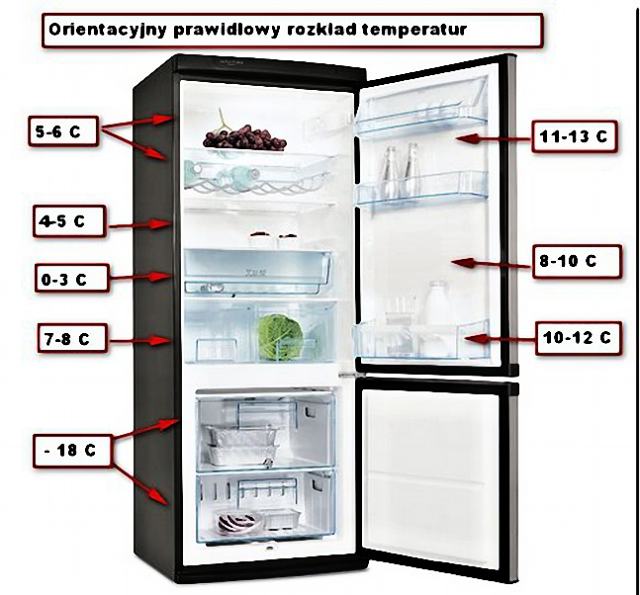 żywność w lodówce - tempoeratury